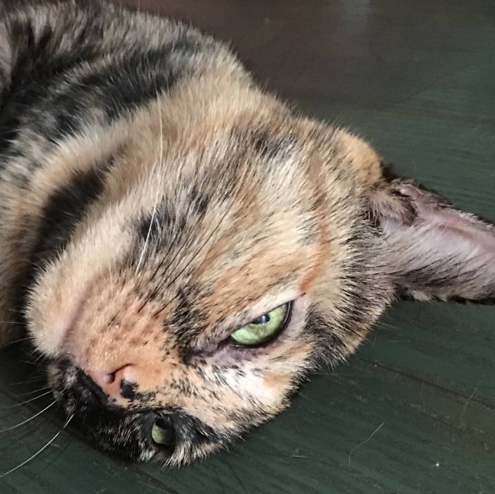 53fdcd8f d5ab 4ba3 88a2 a98b88075db2