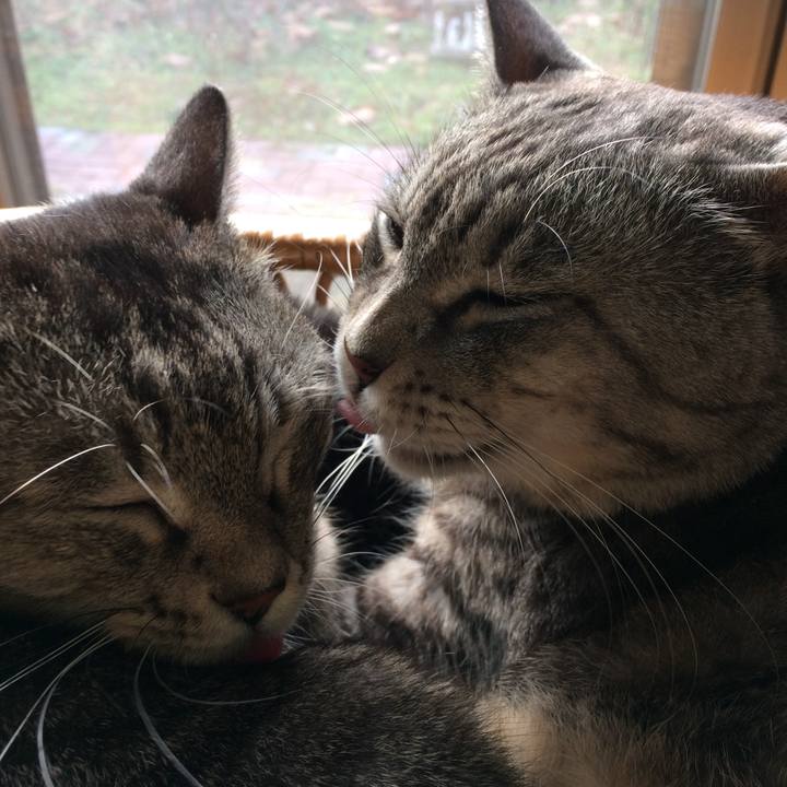 53fe171a f731 4cd7 9f09 9b40eee984e6