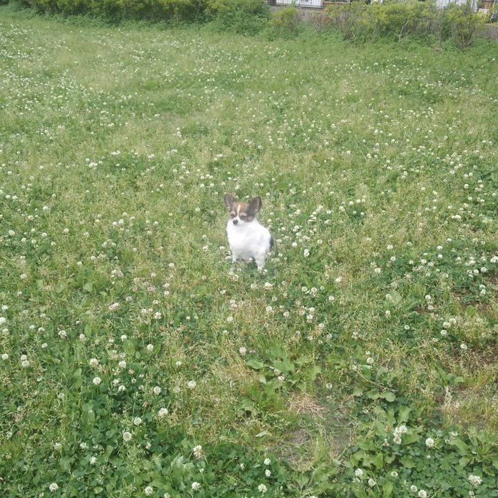 53fe322c fe83 46e2 bbec ebda475d692d