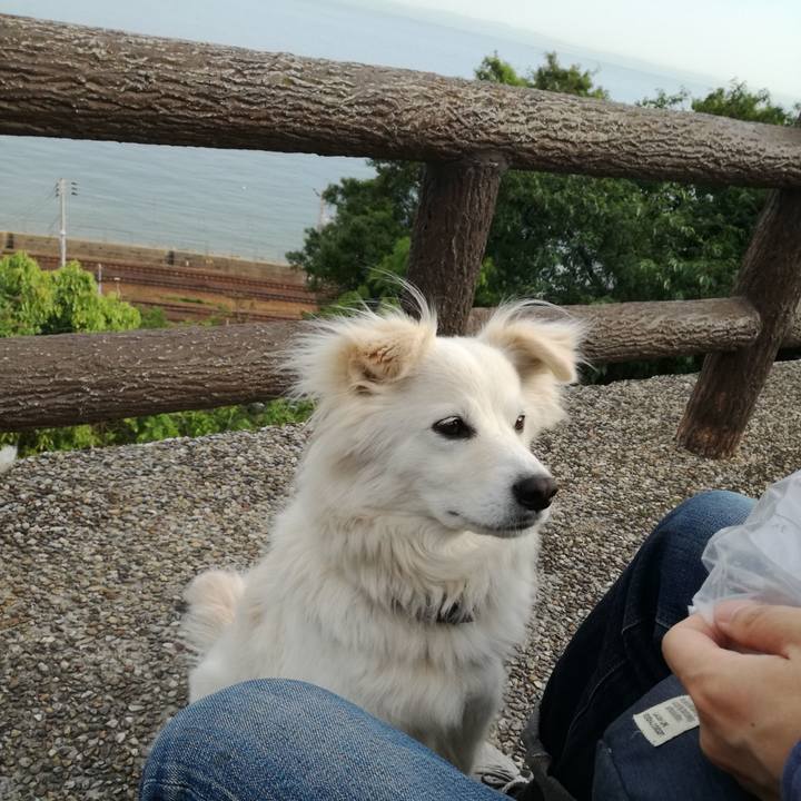 53fe38d7 d940 4924 81ce e29ebf662d55