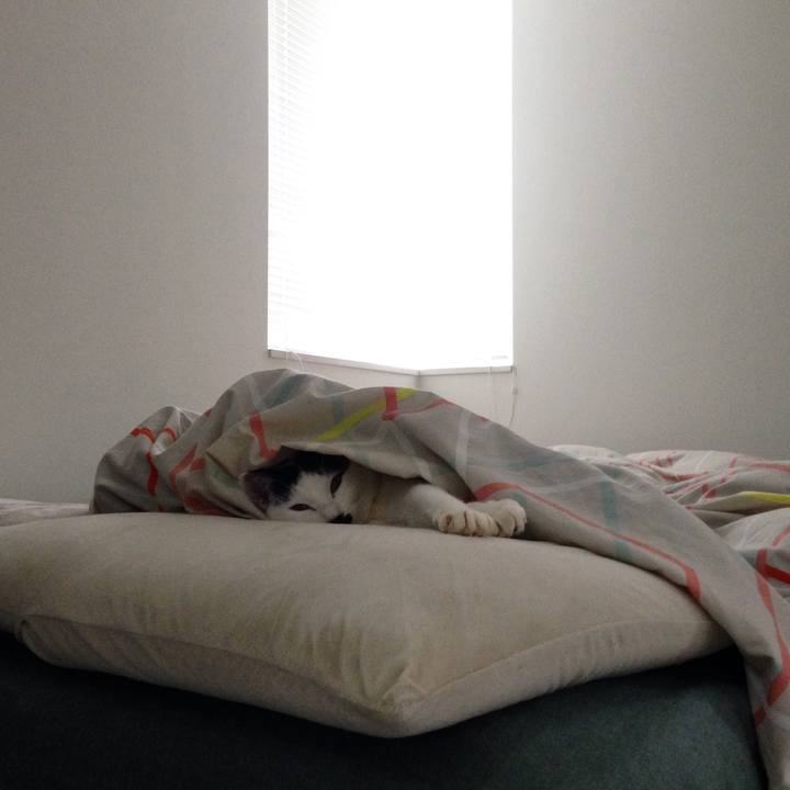 53fe4b5c a0eb 4f4e 8cd9 6a70caf8b3a4