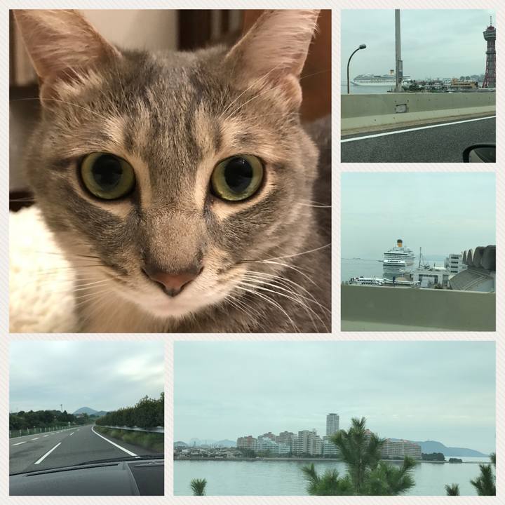 53fefaea 21fb 4777 b858 17b03e99b34b