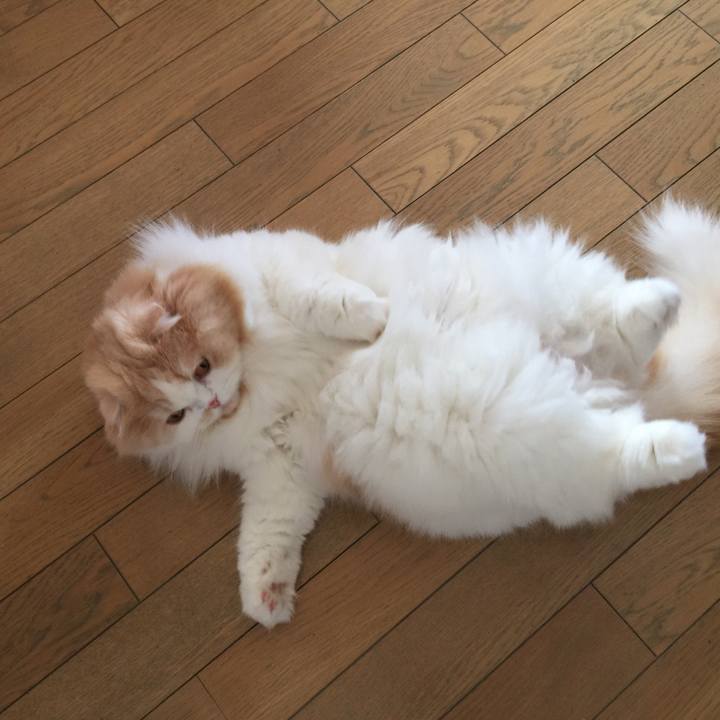 53ff55cd 304d 4e10 938b ca24b902e720