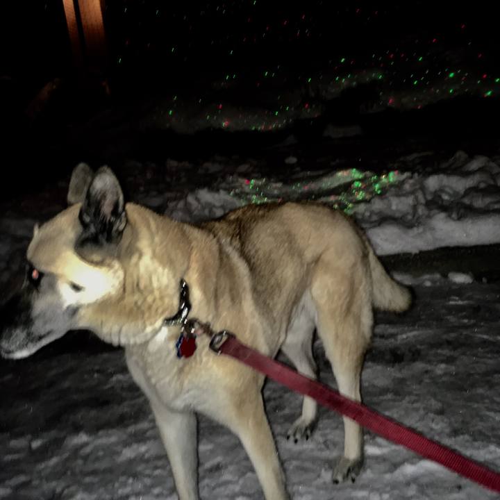 53ff6eb5 4adc 4666 bfdf 40263beb4ca8