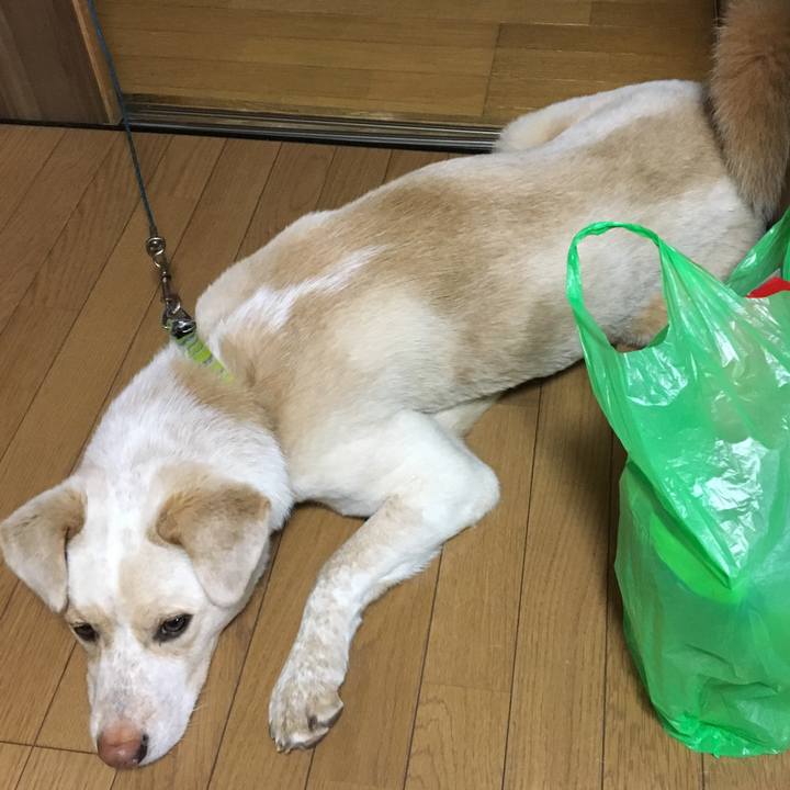 53ffd92a 7feb 4a7c b1d7 e84bbd5f42a7