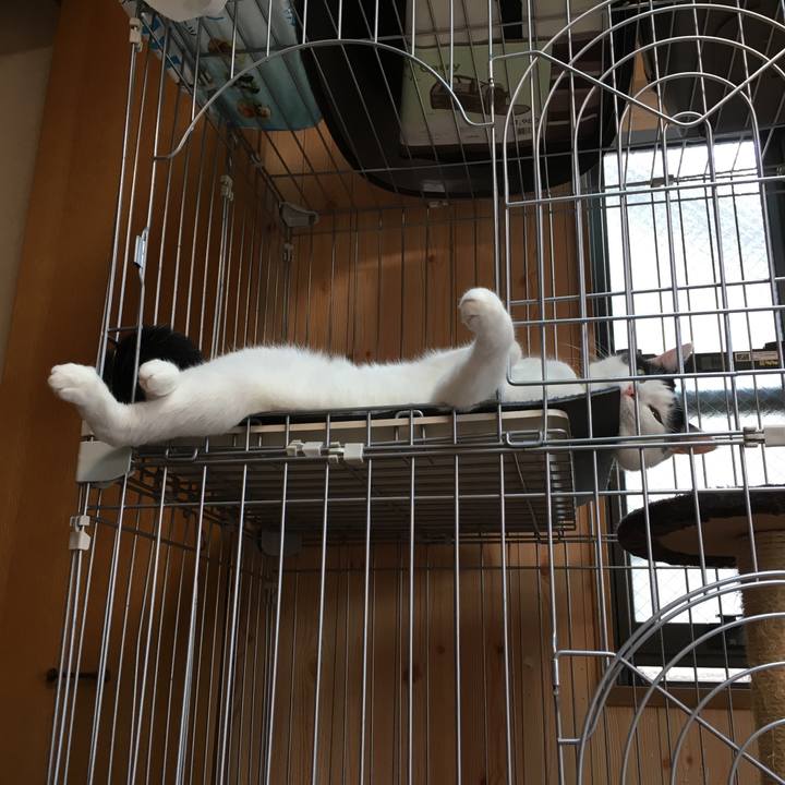 5400f02b 32a0 4104 b7dd 79fd924db3ea