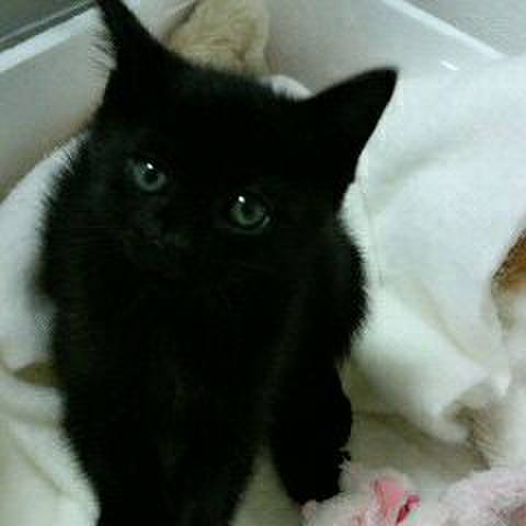 5401191d f4e1 4dec ac0e e9538d742e52