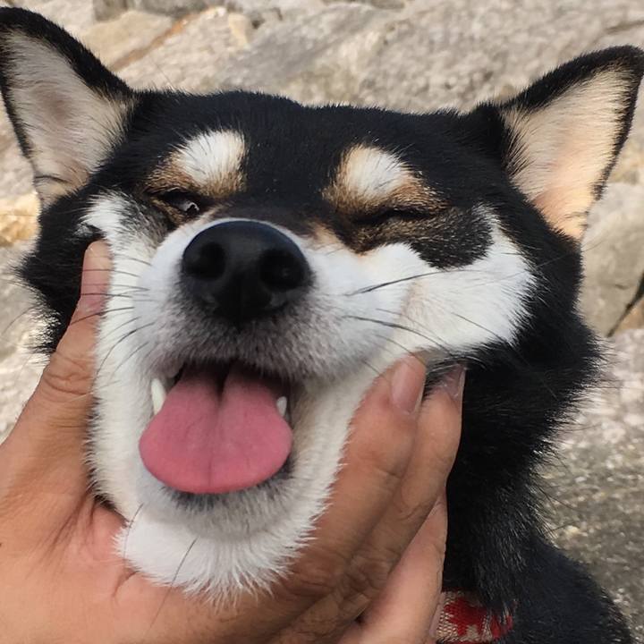 54019a79 bfd7 42e7 b5c2 b0e92c40b3b5