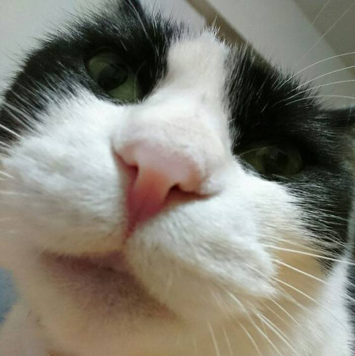 54020e6c b3a4 4ebc 98c3 baacb7912766