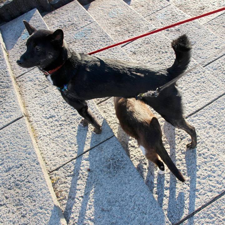 540258e9 c811 412a a0d2 0f4777aa3fa9