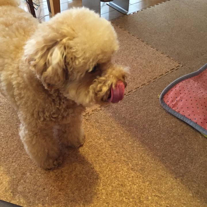 540281d8 70ec 4f83 9d7a 05edd072ca84