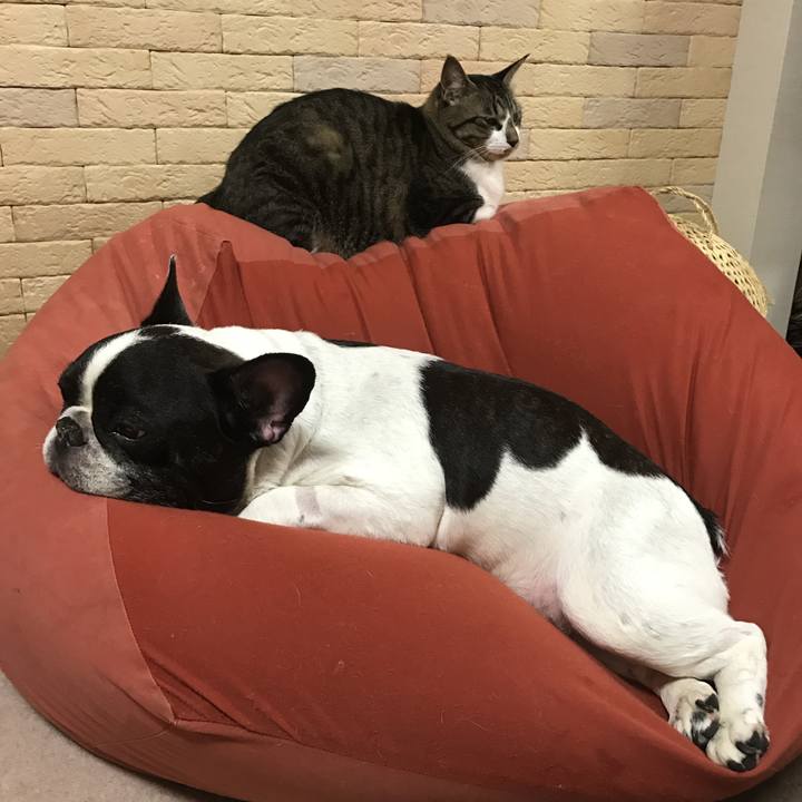 54028c82 847c 42f7 9004 9fcd2696f55c