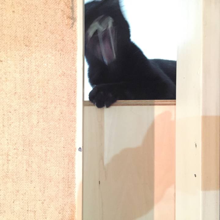 54028ff9 2114 4b53 a5b3 e0502cf0215a