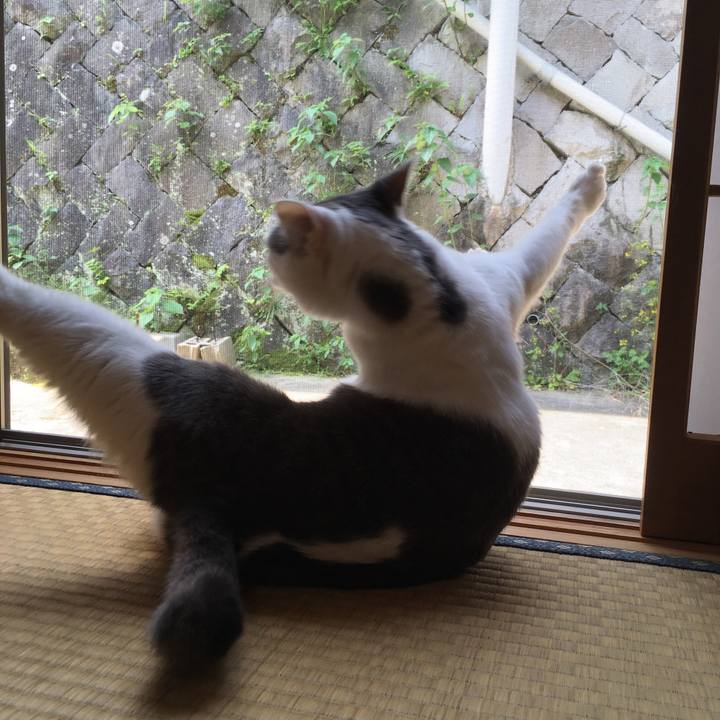 5402fb1c 2117 421c 930c 24b1ff799630