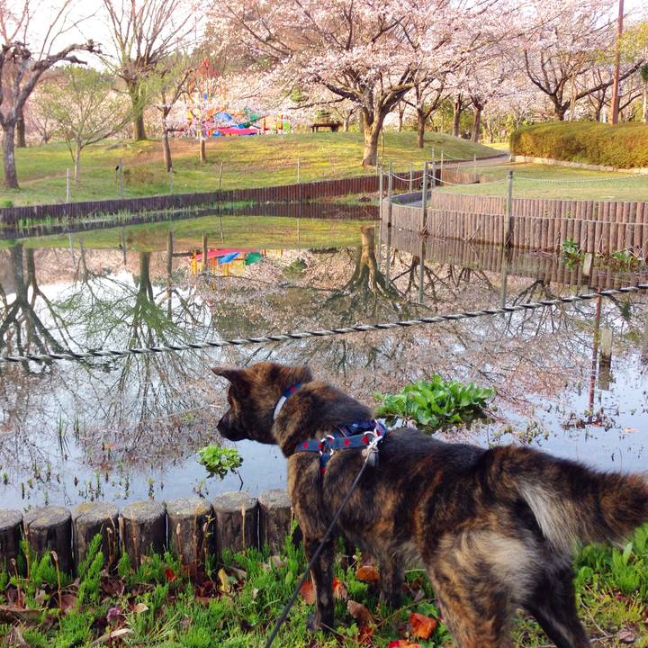 54033910 f3e6 4c9d 822a be0d58767495