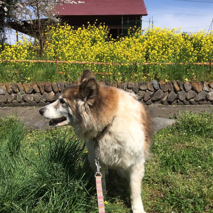 54048ab7 b812 4b76 b1e0 b6a46af685cb