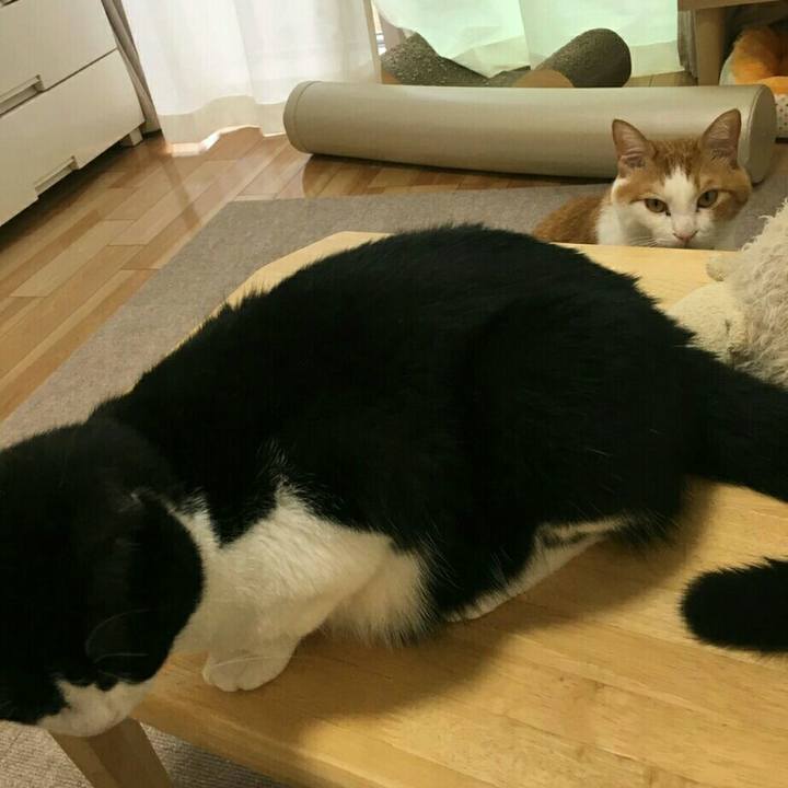 540507aa 8640 4c61 8352 87f8bb5e2d82