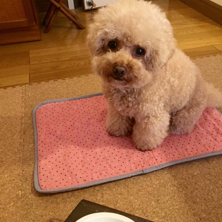 54050c52 0186 4f1a bcc9 05bda7ca7c51