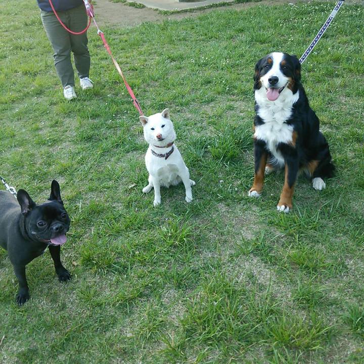 5406aeec fe20 4a74 8680 58eba1451a57