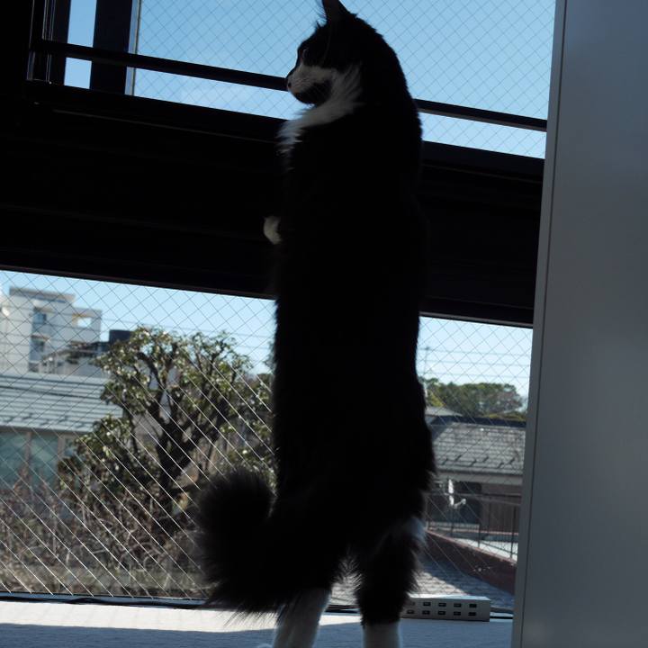 5406f98d 2a43 4b12 af7d aa2814244b13