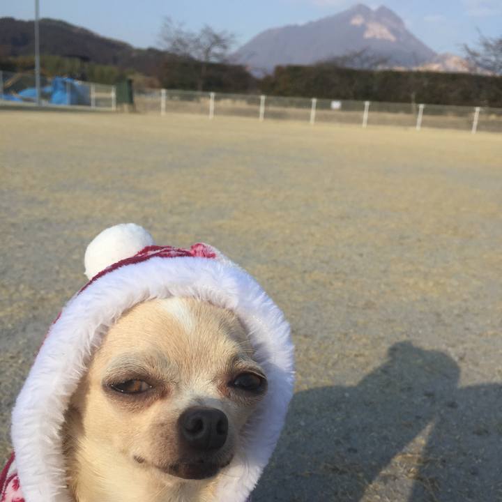 5407281d 5109 4053 aa86 3056a193b628