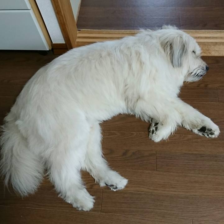 5407c611 03b0 486b a8ed 72e5fe89e629