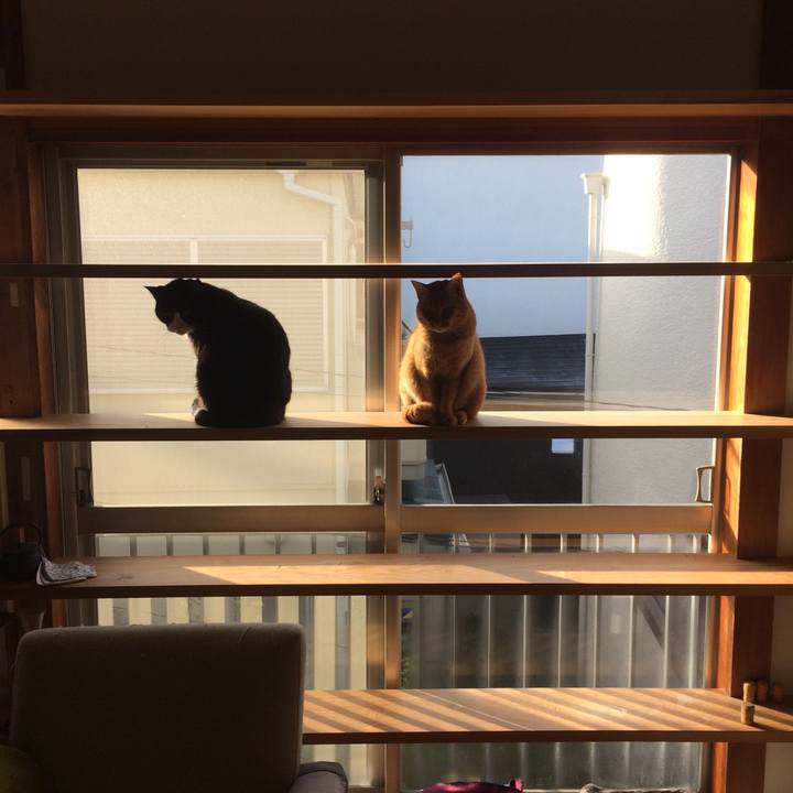 5407c9cd 78ac 4ad4 940e aff328de0c79