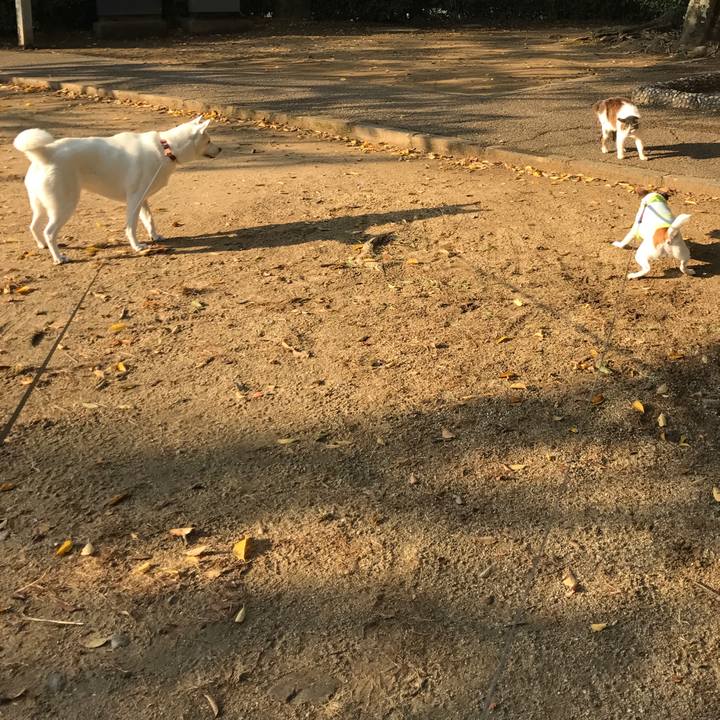 5407dac5 4a7a 4e67 b9af bcdbf0435f97