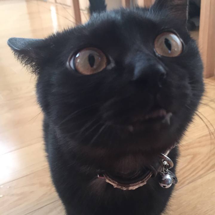 5407e0cb 5c1e 4841 bc51 29e2a4788a30