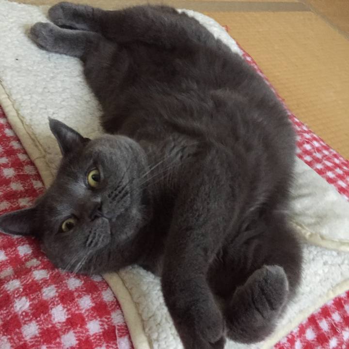 54081e82 896a 4994 b309 b0c9594899fa