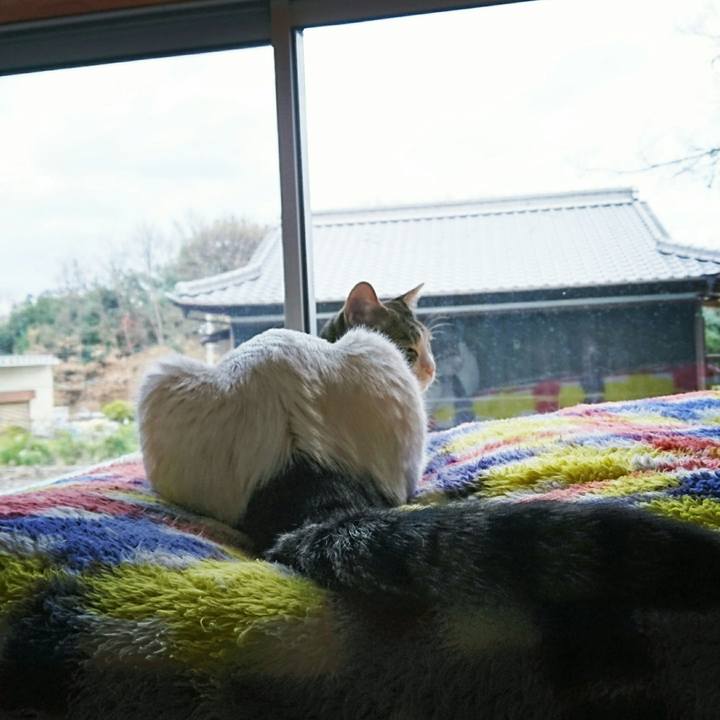 540843fd 9c7e 4061 b4e3 bc706dcd69be