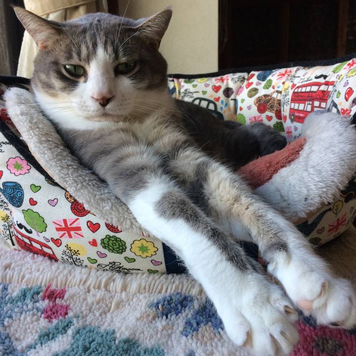 54085abd eeb8 4b5b 8175 b263ddb45fed