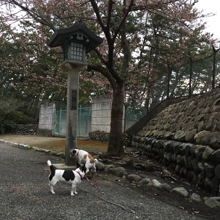 5408bd70 2005 4030 80ea 9656ec9a8649