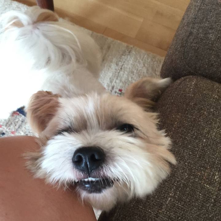 54098c31 5c0a 416c a848 eb27d312076a