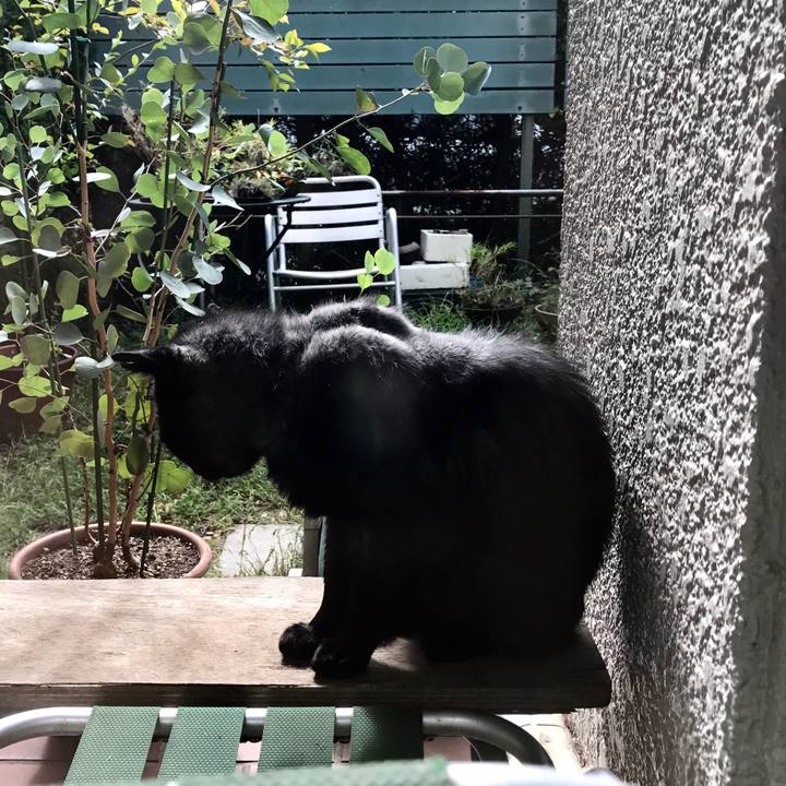 540a3242 8b06 44ae 9591 f4d82a965f10