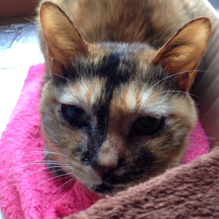 540a3403 3c47 4cd3 bb4d d7c1a9f0bf2e