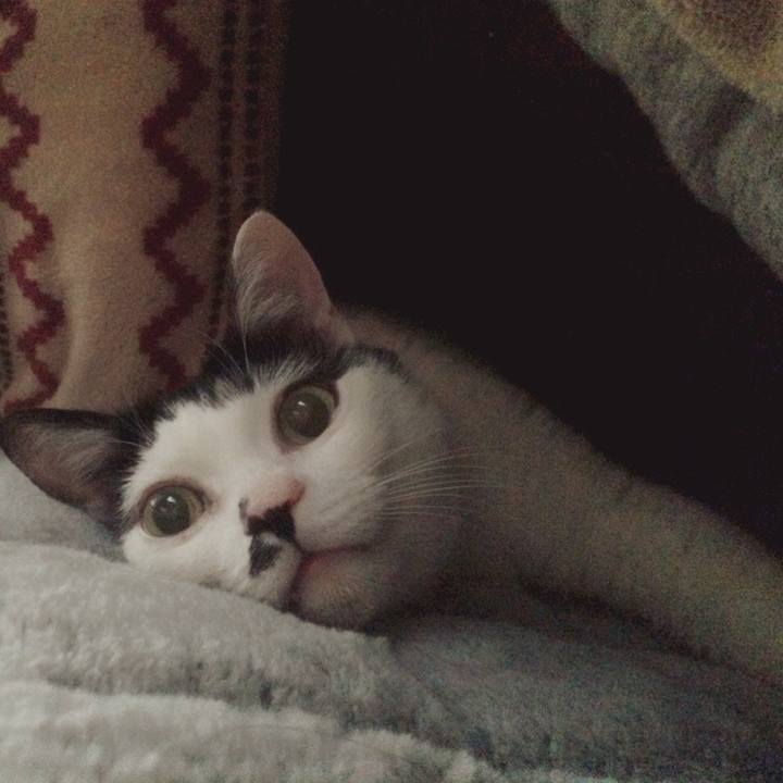 540a5c5c 3764 474a 9941 0b17bf31a7ca