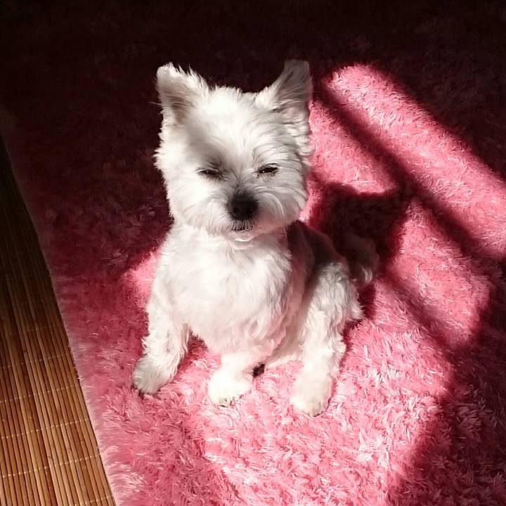 540a783f 4ea5 4e0f b2fa b8647085b0c3