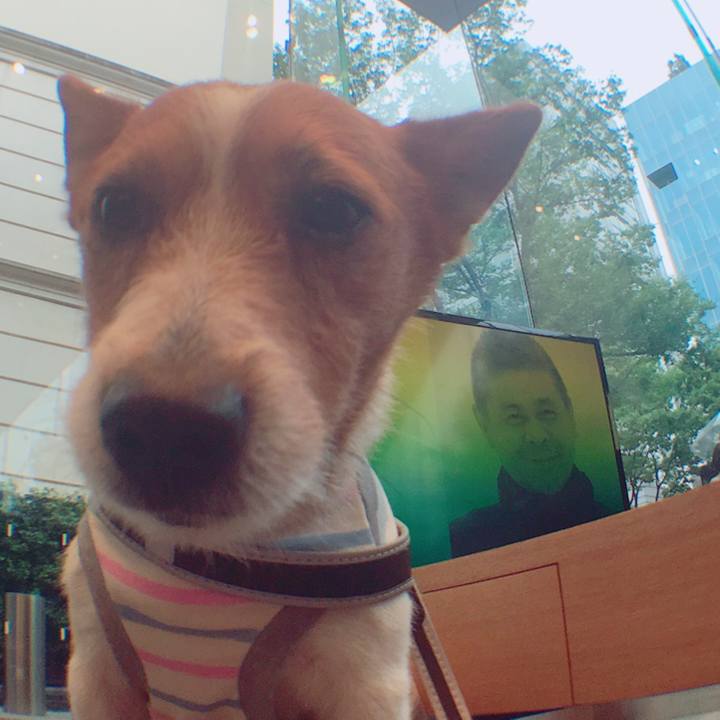 540a7e8d 50fb 4a8f af99 41ee04a58dba