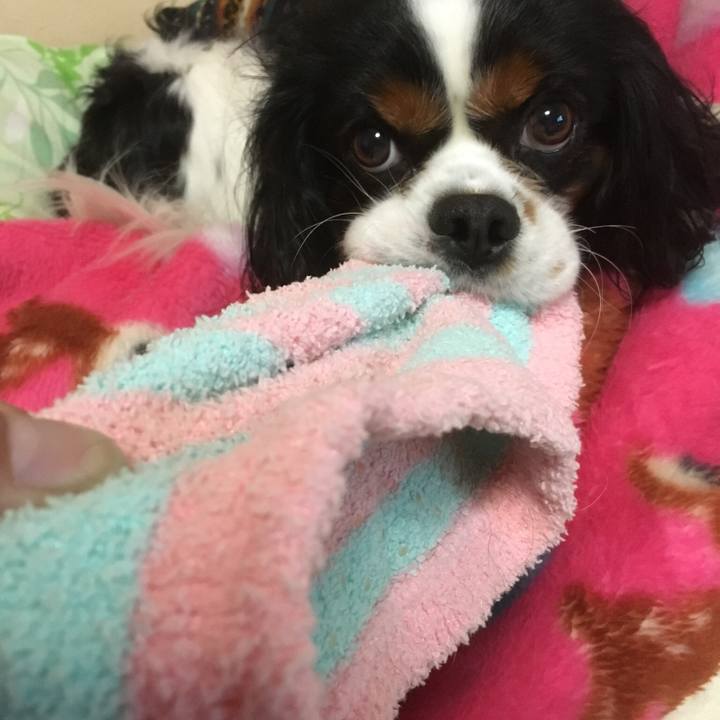 540b518b e8c5 4f28 81c2 d75575d27f6c