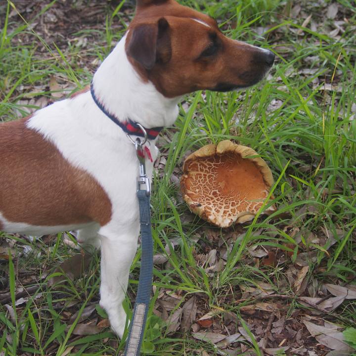 540bae04 88d9 4143 b9bc e434a86ebe91