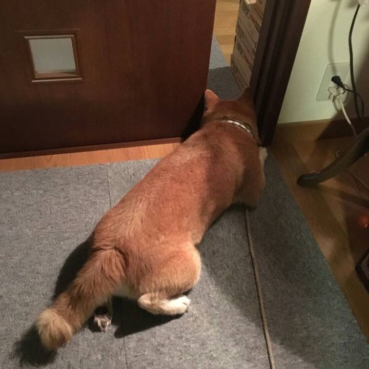 540bb4fa ed1c 42a5 8e25 873f092b72e3