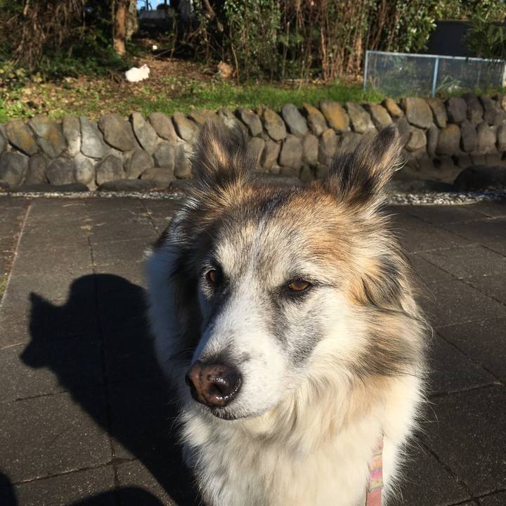 540c2120 84a6 4a4e a3bb 5bb31c1929a8