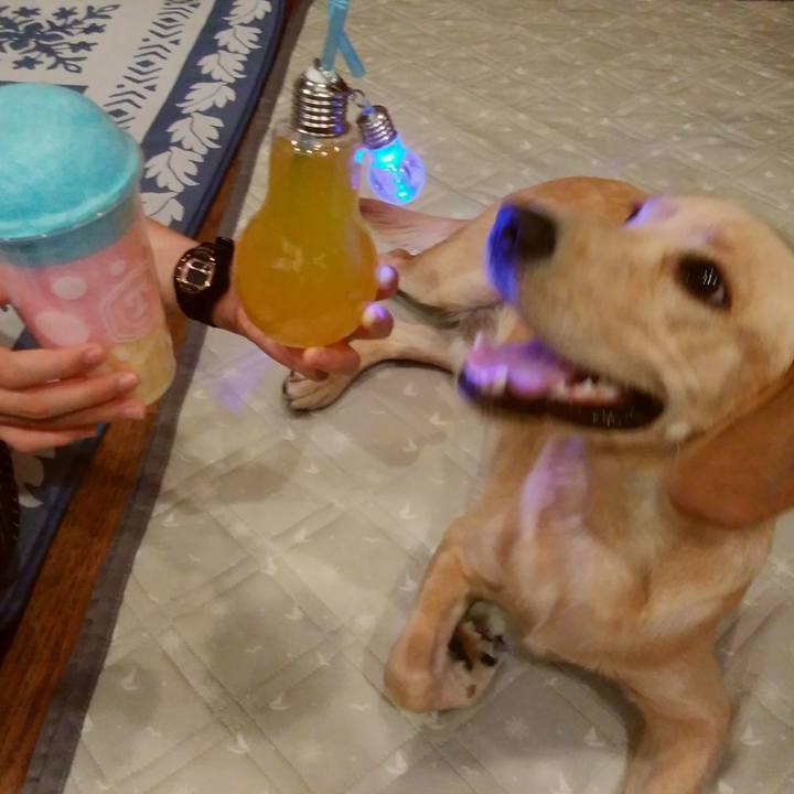 540c275a 7712 4bdf b634 4c6b97041f8a