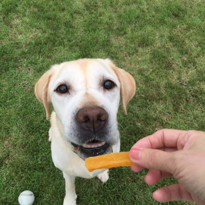 540c7980 84bf 476a 98ae 6c67652bf7db