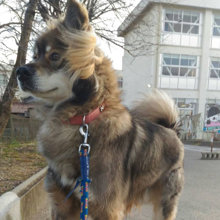 540c8b32 a4b0 4f2e 9583 108eb8395d73