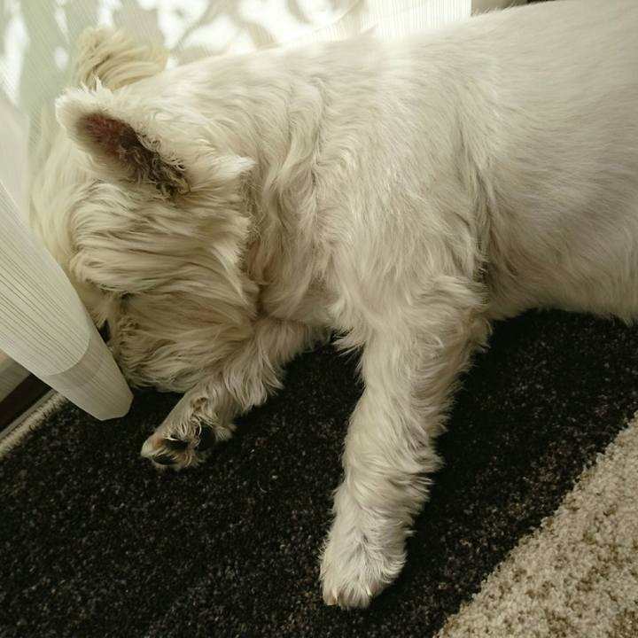 540e5848 804c 4357 9330 af737f11419d