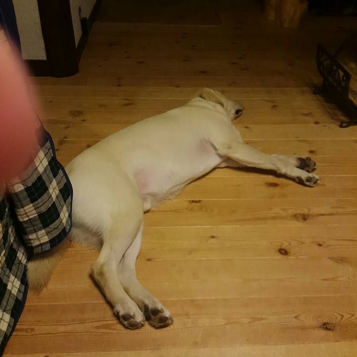 540ef45f d2bc 4405 9028 6e1db345df69