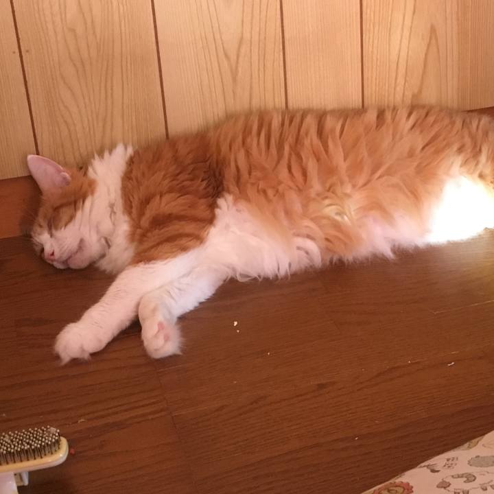 540f057c 291f 498f 946b 4cf4b4886eb6