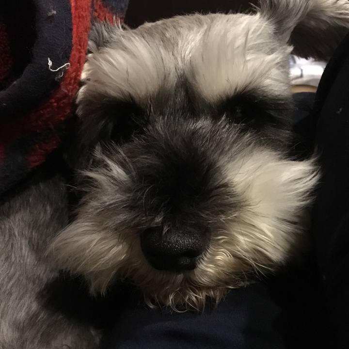 540f06a6 cb33 4eff 8bfa c33b453794d0